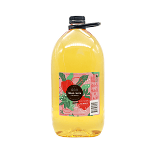 Apple Juice 3L